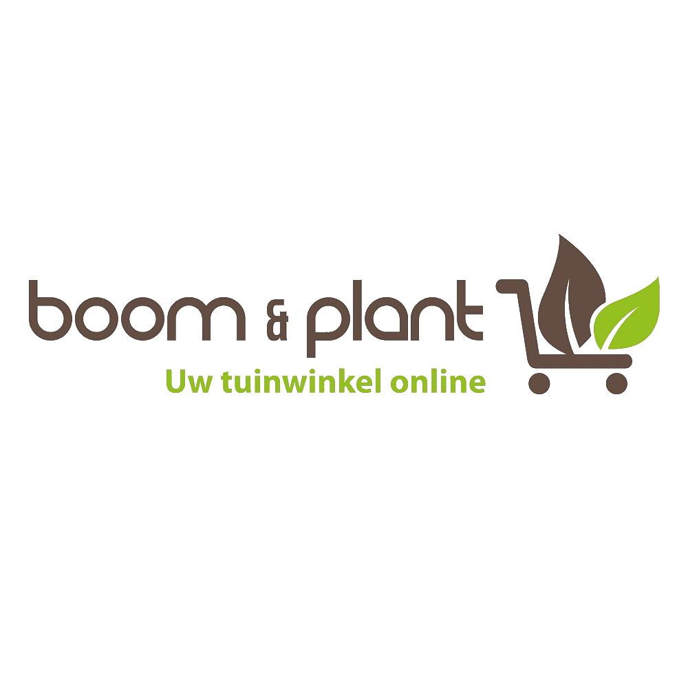 boomenplant Coupon & Promo Codes