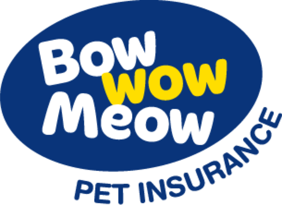 bowwowinsurance Coupon & Promo Codes